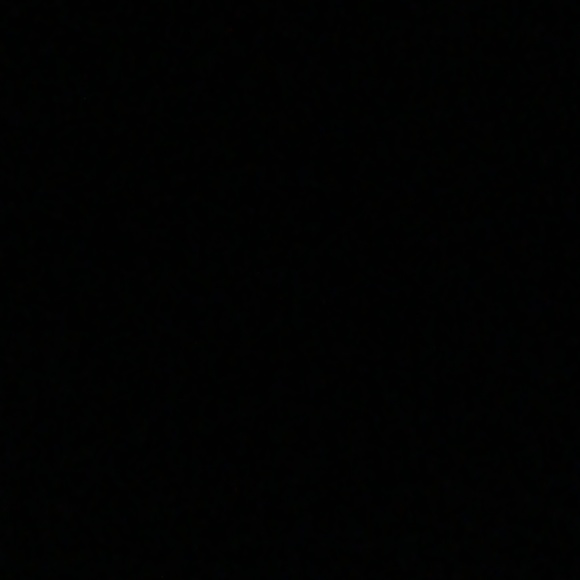 🌒FREE WITH PURCHASE🌘 - Picture 1 of 3